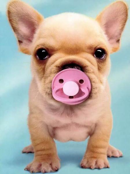 tro chou