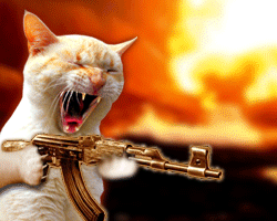 le chat méchant